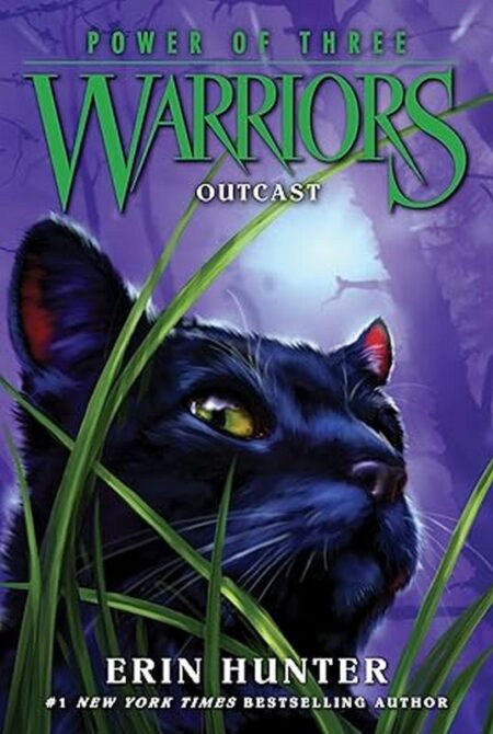 Warriors: Outcast