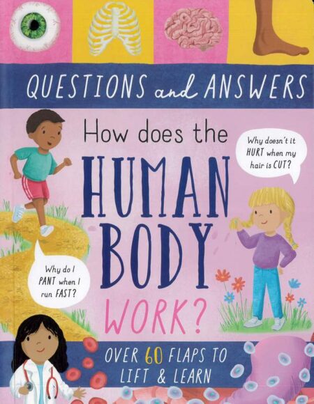 How does the Human Body work?
