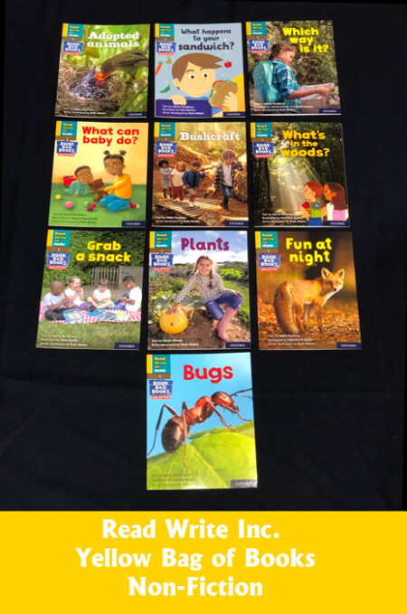 Read Write Inc. Phonics Book Bag Books: Set 5 Yellow: Non-Fiction Pack of 10