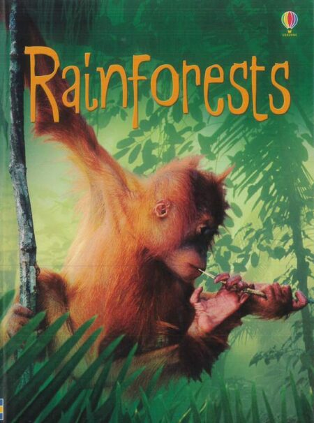 Rainforests