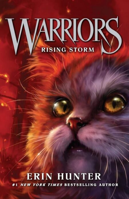 Warriors: Rising Storm