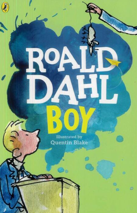 Boy: Tales of Childhood