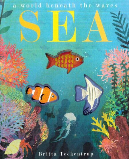 Sea: A World Beneath the Waves