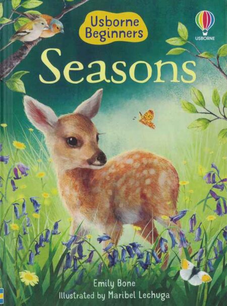 Usborne Beginners: Seasons