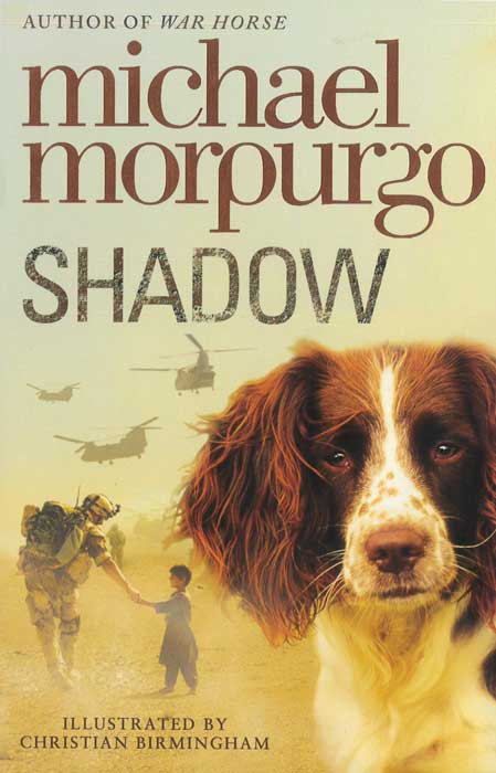 Shadow