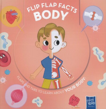 Flip Flap Facts: Body