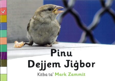 Pinu Dejjem Jiġbor - Level 2 Aħmar