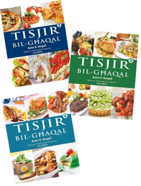 Tisjir bil-Ghaqal Sett
