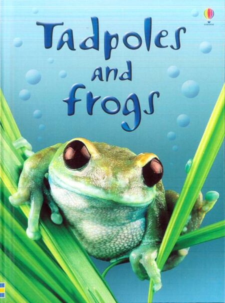 Tadpoles and frogs