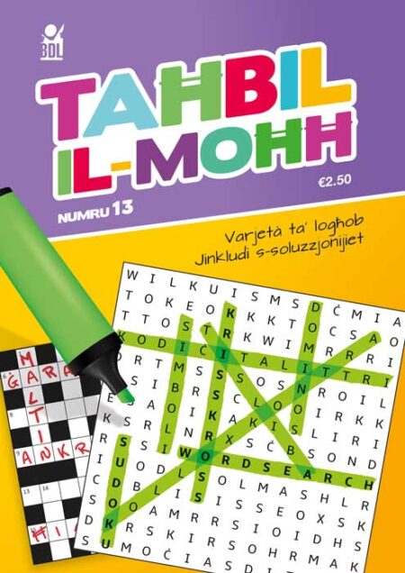 Taħbil il-Moħħ Nru 13
