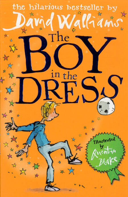 The Boy in the Dress