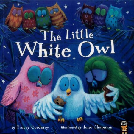 The Little White Owl