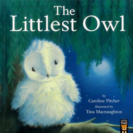The Littlest Owl
