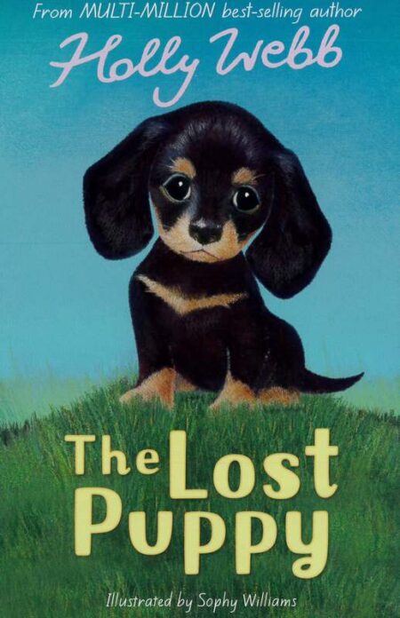 The Lost Puppy