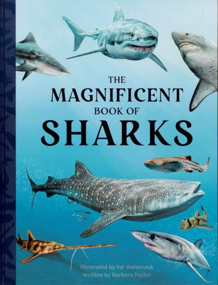 The Magnificent Book of Sharks