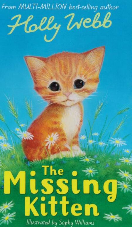 The Missing Kitten