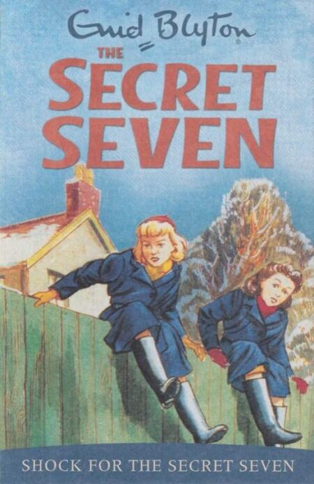 Shock for the Secret Seven