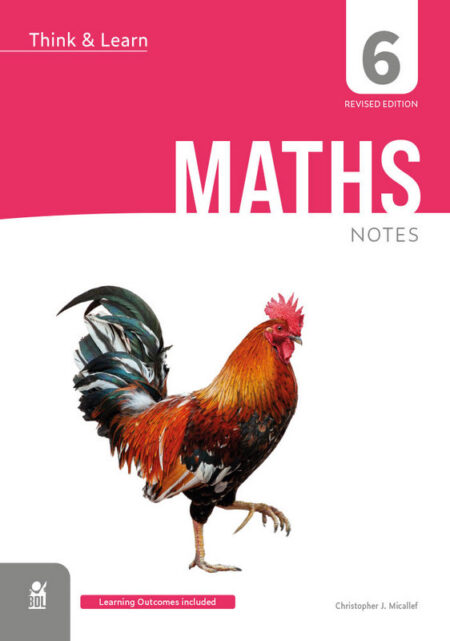 Think & Learn Maths Year 6: Notes