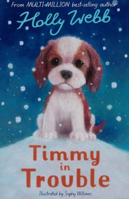 Timmy in Trouble