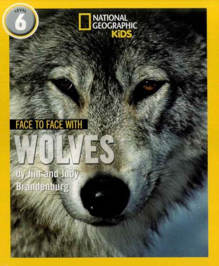 Face to Face with Wolves