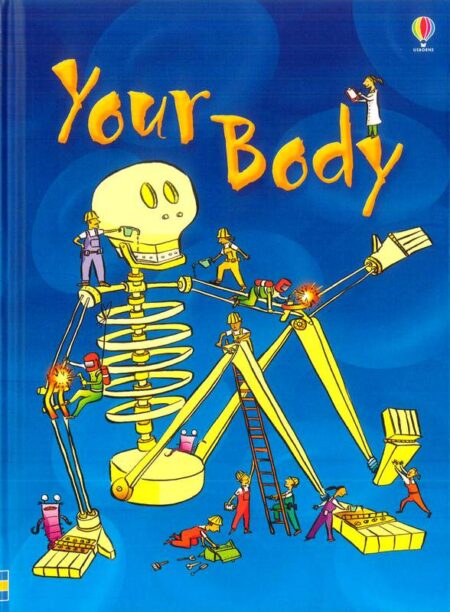 Your Body
