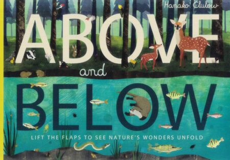 Above and Below