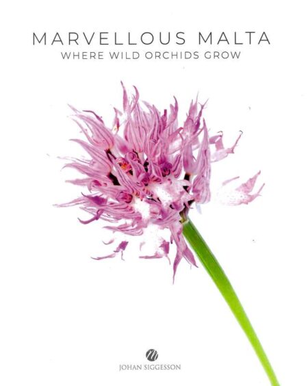 Marvellous Malta - Where Wild Orchids Grow
