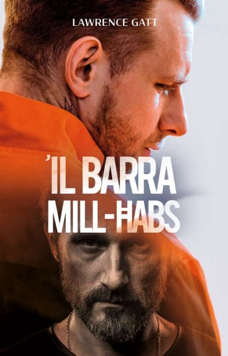 Il Barra Mill-Ħabs