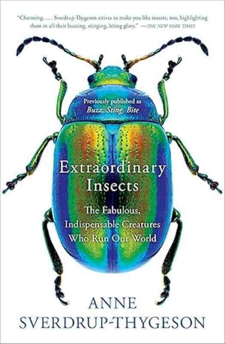 Extraordinary Insects