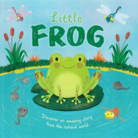 Little Frog