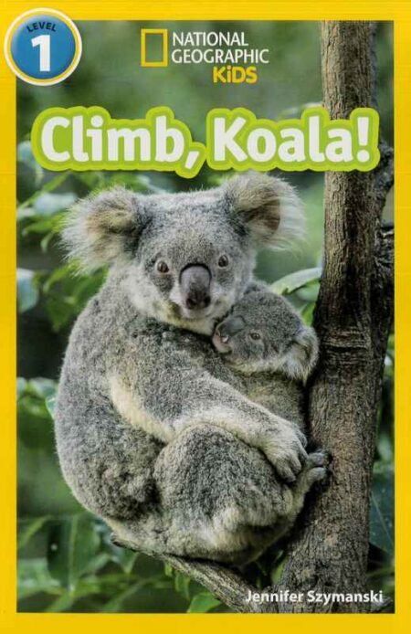 Climb, Koala!