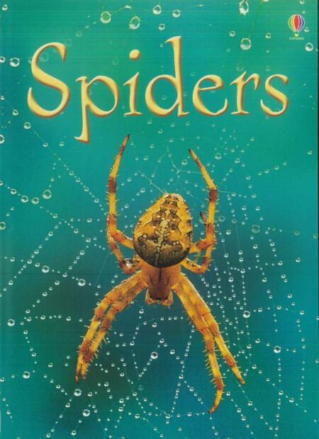 Spiders
