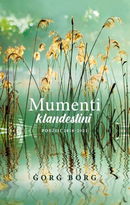 Mumenti Klandestini
