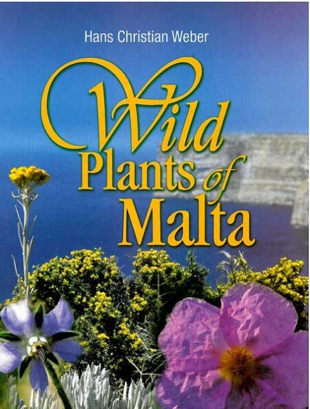Wild Plants of Malta Paperback