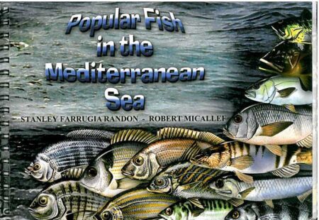 Popular Fish in the Mediterranean Sea