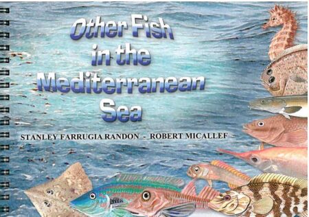 Other Fish in the Mediterranean Sea