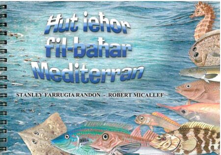 Hut Iehor fil-Bahar Mediterran