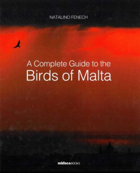 A Complete Guide to the Birds of Malta