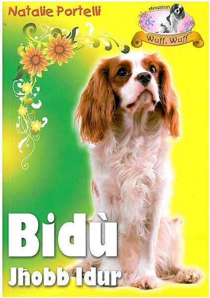 Bidu` Jħobb Idur