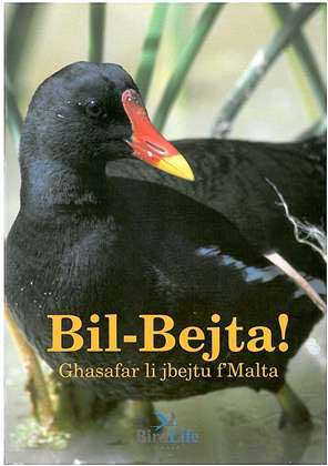 Bil-Bejta