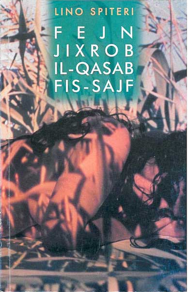 Fejn Jixrob il-Qasab fis-Sajf