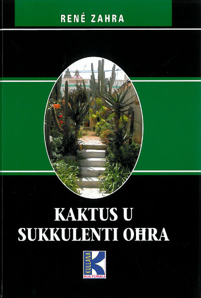 Kaktus u Sukkulenti Ohra