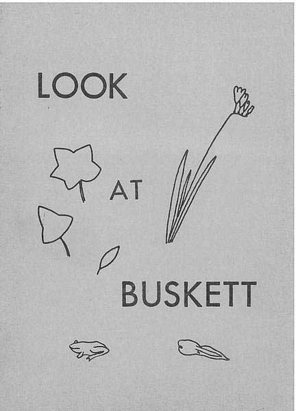 Look At Buskett