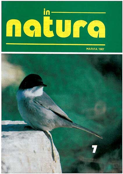 In-Natura  07
