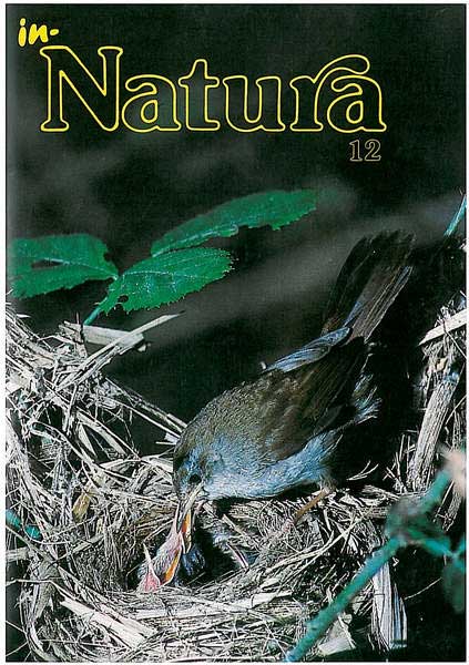 In-Natura 12