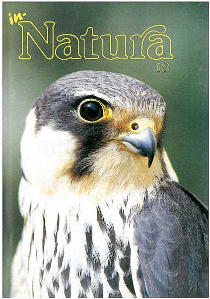 In-Natura 13