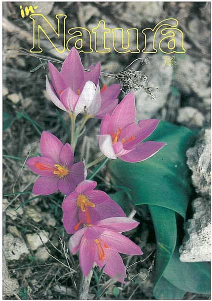 In-Natura 14