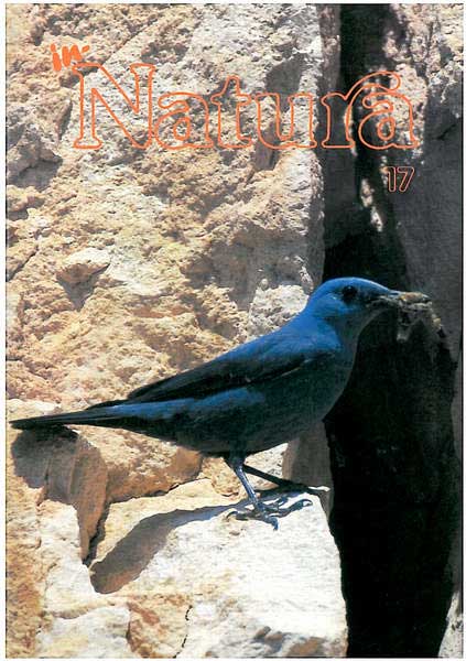 In-Natura 17