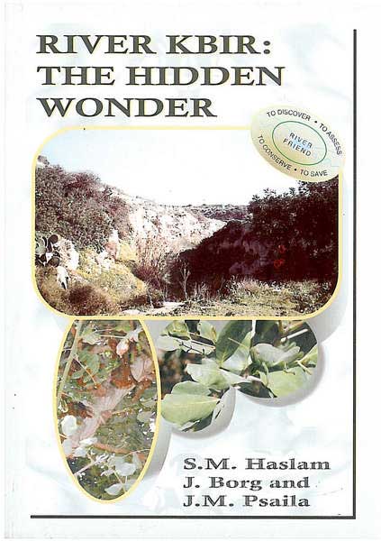 River Kbir - The Hidden Wonder