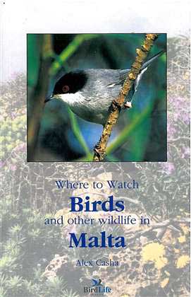 Where to Watch Birds and other wildlife in Malta